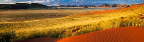 Red Dust Feeds Plankton Blooms 