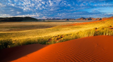 Red Dust Feeds Plankton Blooms 